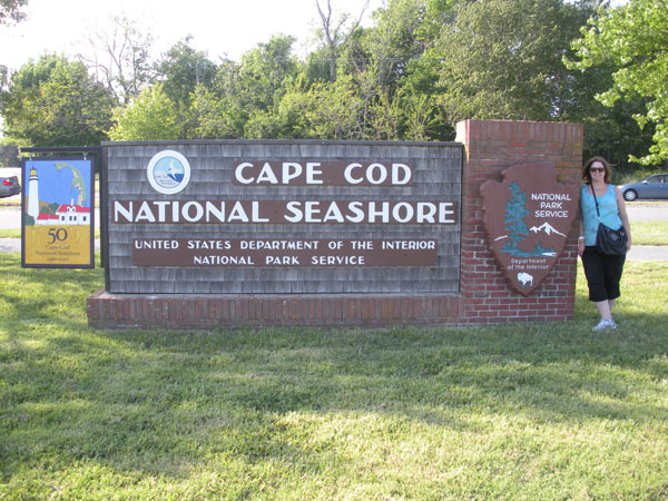 Cape Cod