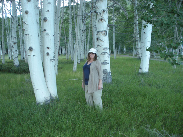 Pando