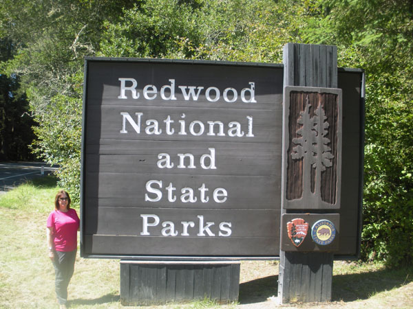 Redwood National Park