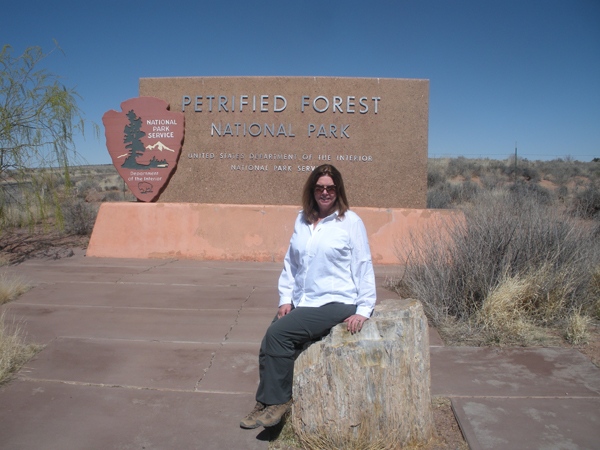 Petrified Forest National Park