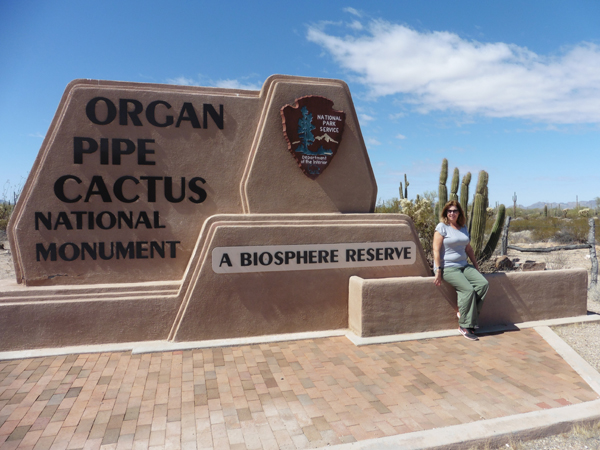 Organ Pipe Cactus National Monument