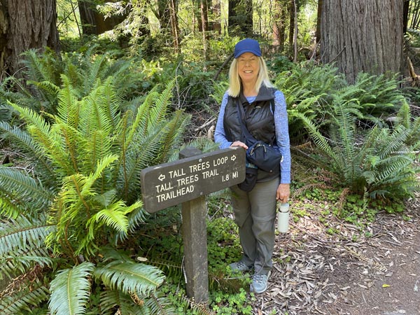 Tallest Tree