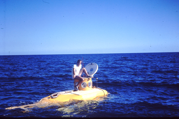 Perry Submarine